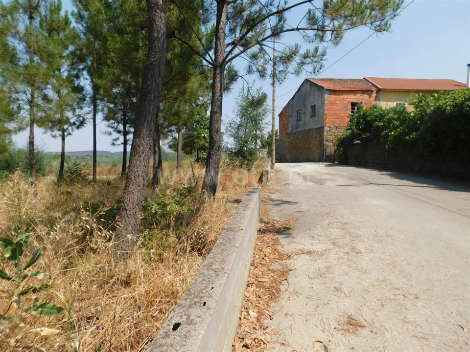 Terreno para Venda em Fundão, Valverde, Donas, A. Joanes, A. Nova Cabo Foto 2