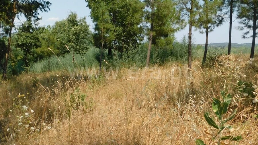 Terreno para Venda em Fundão, Valverde, Donas, A. Joanes, A. Nova Cabo