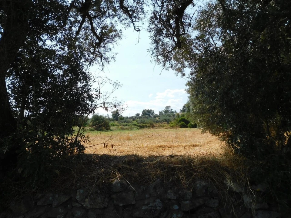 Terreno para Venda em Fundão, Valverde, Donas, A. Joanes, A. Nova Cabo Foto 3