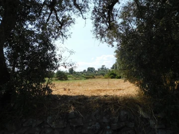 Terreno para Venda em Fundão, Valverde, Donas, A. Joanes, A. Nova Cabo