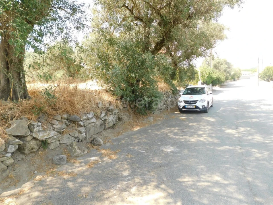 Terreno para Venda em Fundão, Valverde, Donas, A. Joanes, A. Nova Cabo Foto 4