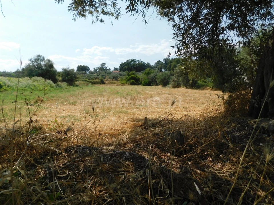 Terreno para Venda em Fundão, Valverde, Donas, A. Joanes, A. Nova Cabo Foto 1