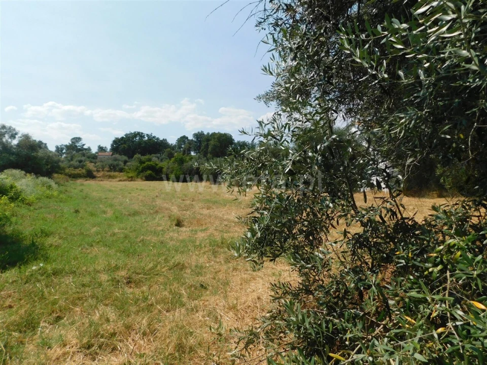 Terreno para Venda em Fundão, Valverde, Donas, A. Joanes, A. Nova Cabo Foto 5