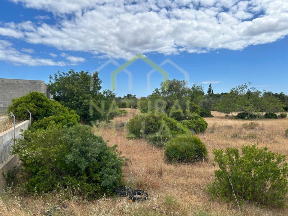 Terreno Agricola ou Rústico para Venda em Santa Barbara de Nexe Foto 1
