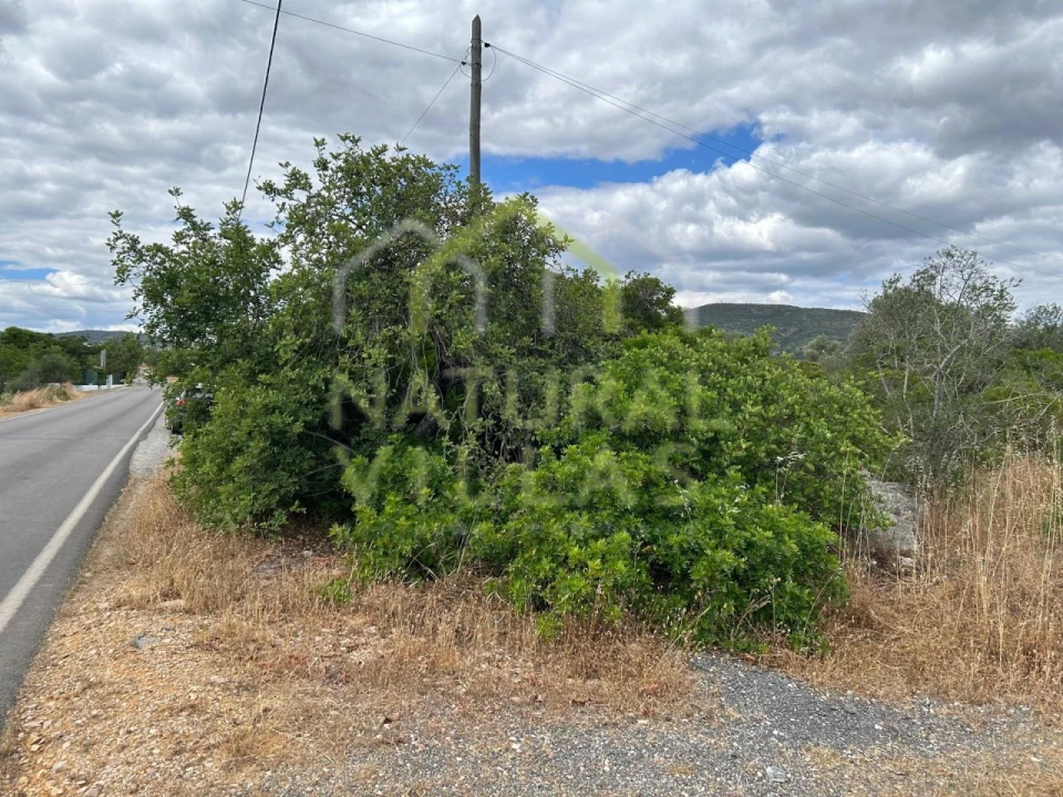 Terreno Agricola ou Rústico para Venda em Santa Barbara de Nexe Foto 3