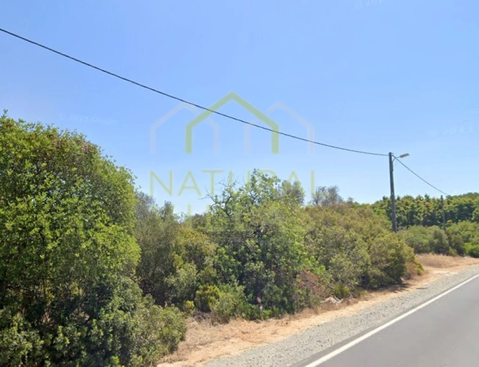Terreno Agricola ou Rústico para Venda em Santa Barbara de Nexe Foto 2