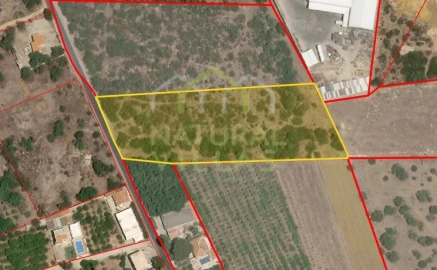 Terreno Agricola ou Rústico para Venda em Santa Barbara de Nexe
