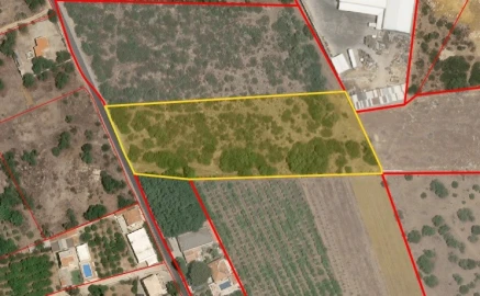 Terreno Agricola ou Rústico para Venda em Santa Barbara de Nexe