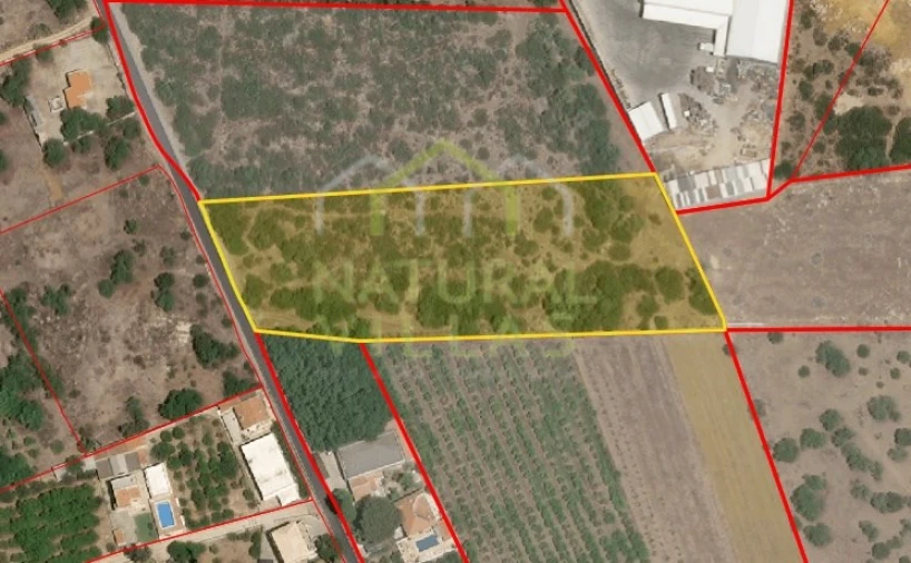 Terreno Agricola ou Rústico para Venda em Santa Barbara de Nexe Foto 5