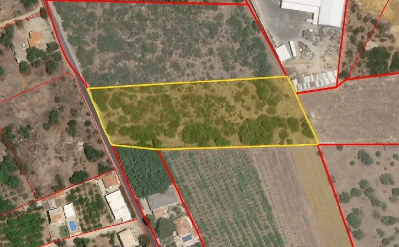 Terreno Agricola ou Rústico para Venda em Santa Barbara de Nexe Planta 1