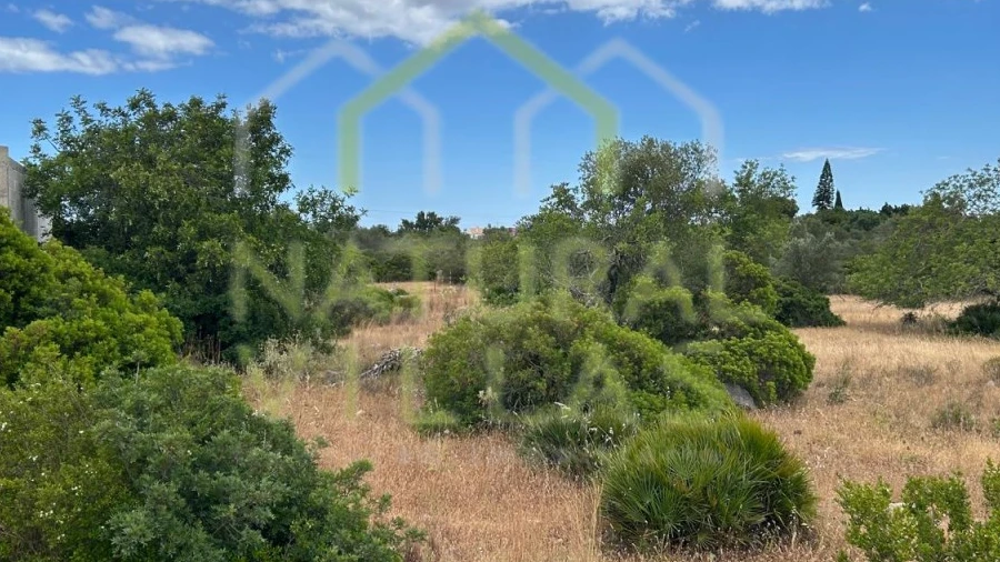 Terreno Agricola ou Rústico para Venda em Santa Barbara de Nexe