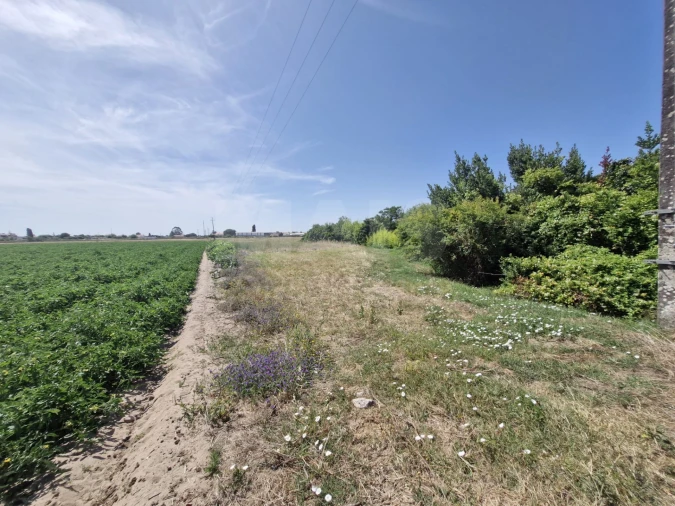 Moradia para Venda em Salvaterra de Magos e Foros de Salvaterra Foto 3