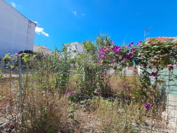 Terreno para Venda em Caldas da Rainha - Santo Onofre e Serra do Bouro