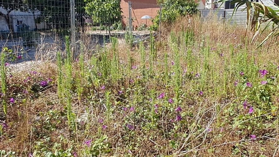 Terreno para Venda em Caldas da Rainha - Santo Onofre e Serra do Bouro