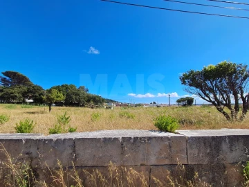Terreno para Venda em Tornada e Salir do Porto