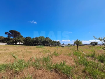 Terreno para Venda em Tornada e Salir do Porto