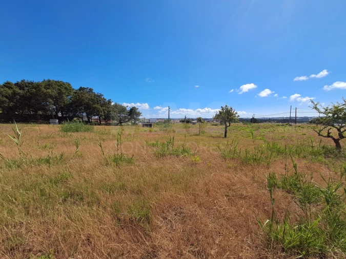 Terreno para Venda em Tornada e Salir do Porto Foto 7