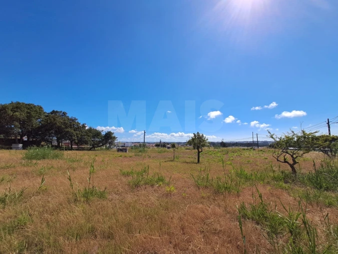 Terreno para Venda em Tornada e Salir do Porto Foto 12