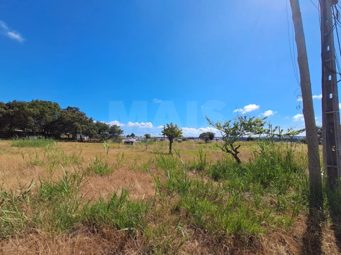Terreno para Venda em Tornada e Salir do Porto Foto 3