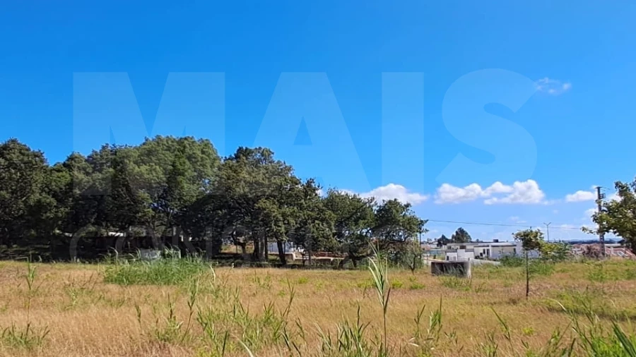 Terreno para Venda em Tornada e Salir do Porto