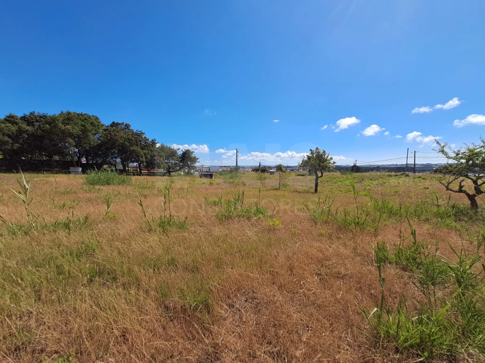 Terreno para Venda em Tornada e Salir do Porto Foto 7