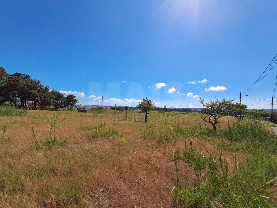 Terreno para Venda em Tornada e Salir do Porto Foto 2