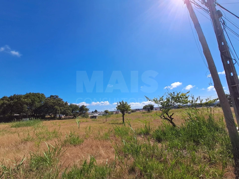 Terreno para Venda em Tornada e Salir do Porto Foto 5