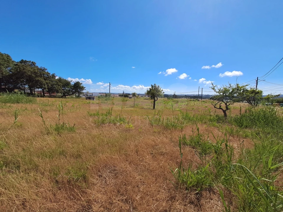 Terreno para Venda em Tornada e Salir do Porto Foto 11