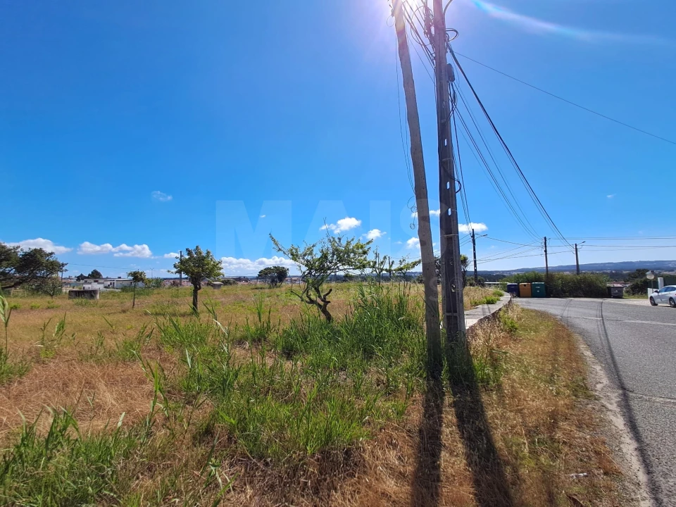 Terreno para Venda em Tornada e Salir do Porto Foto 4