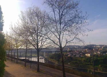Apartamento T1 para Venda em Bonfim