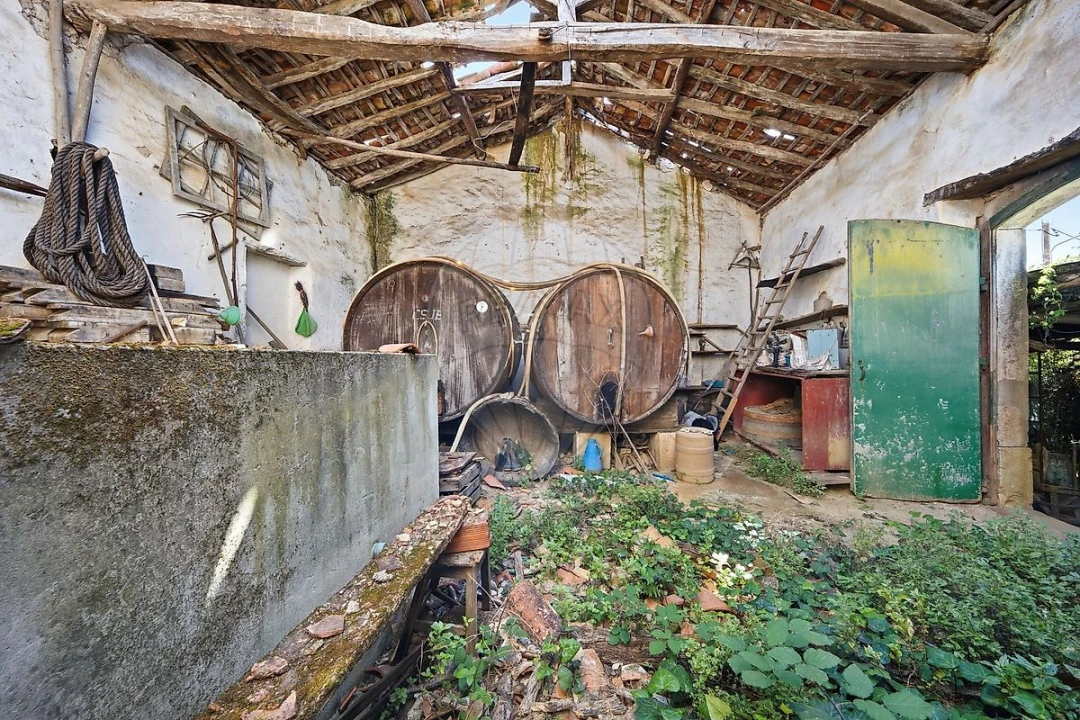 Negócio para Venda em Santa Maria, São Pedro e Matacães Foto 2