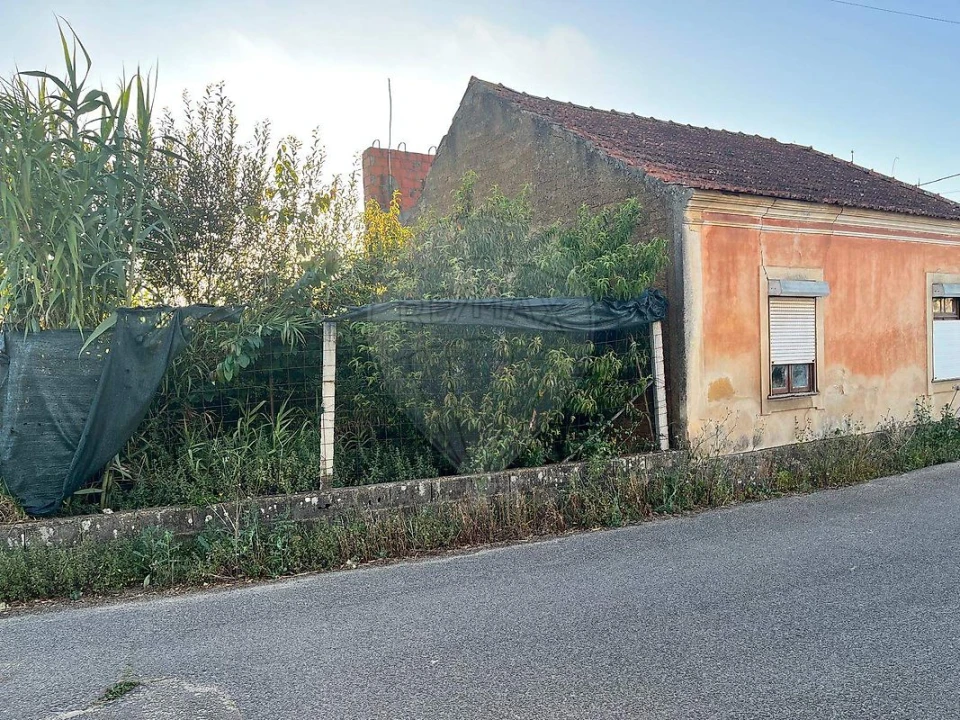 Moradia T2 para Venda em Bustos, Troviscal e Mamarrosa Foto 5