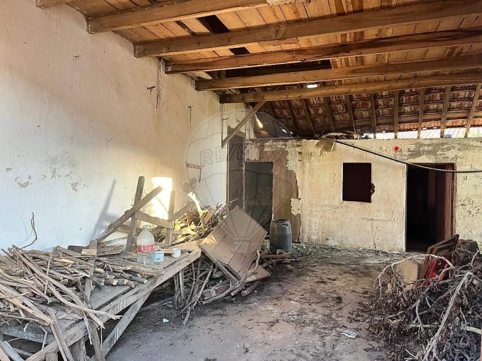 Moradia T2 para Venda em Bustos, Troviscal e Mamarrosa Foto 4