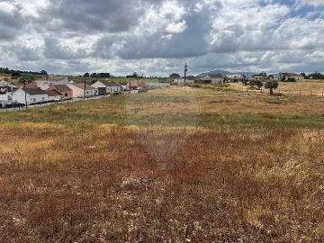 Terreno para Venda em Aveiras de Cima