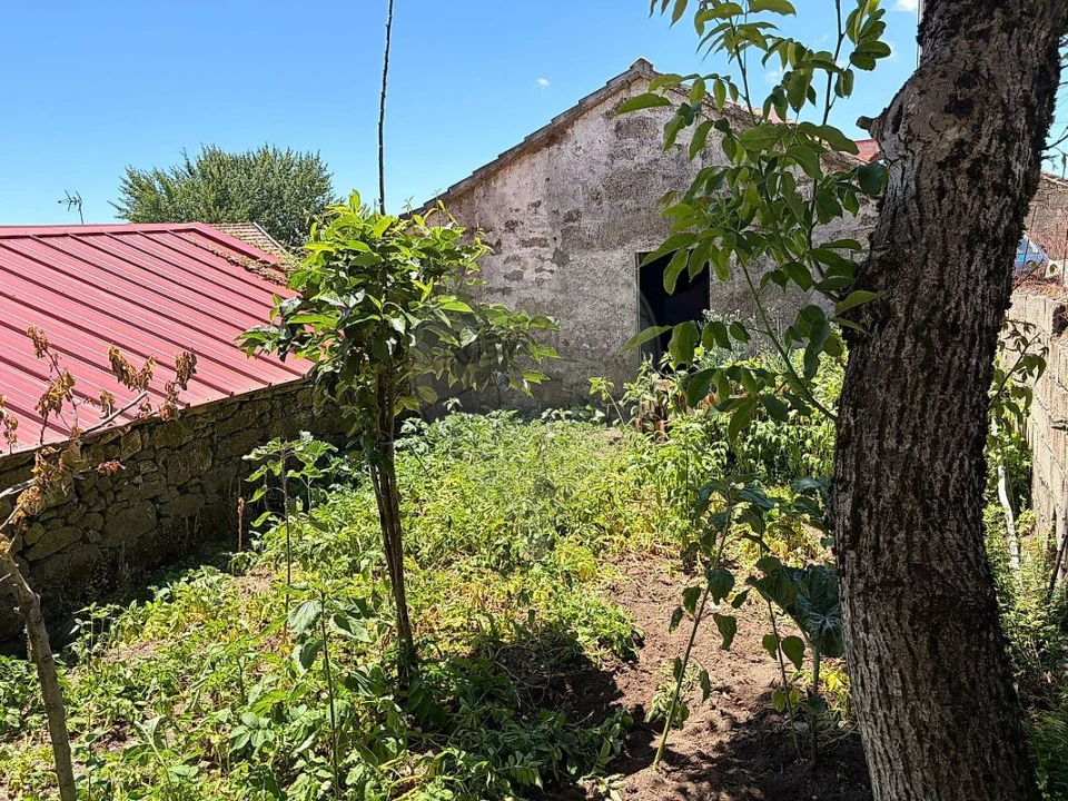 Armazém para Venda em Monteiras Foto 13