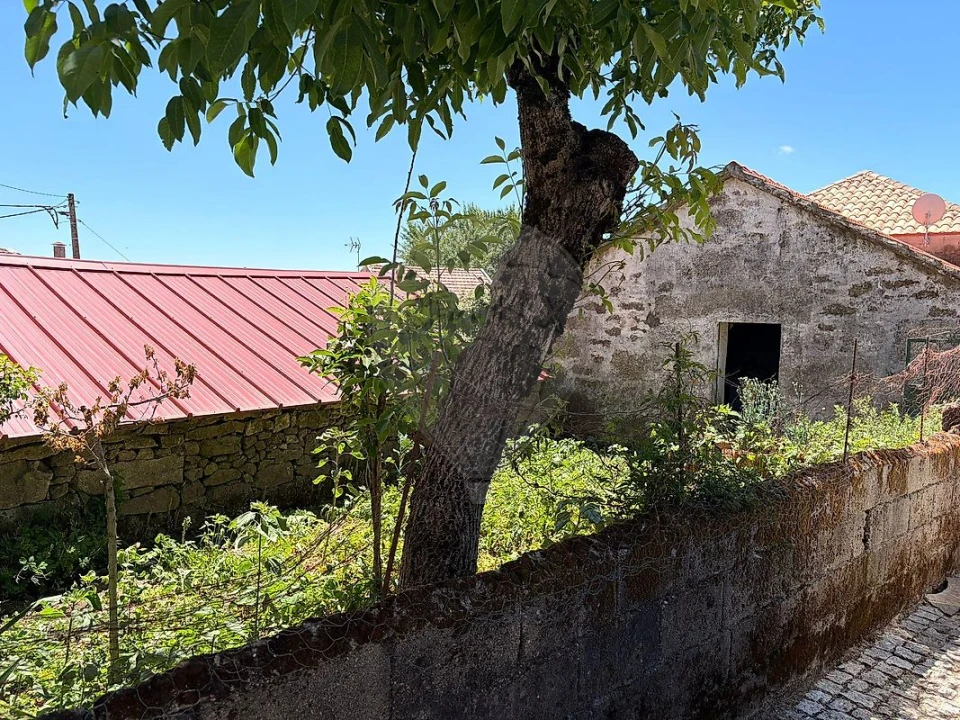 Armazém para Venda em Monteiras Foto 11