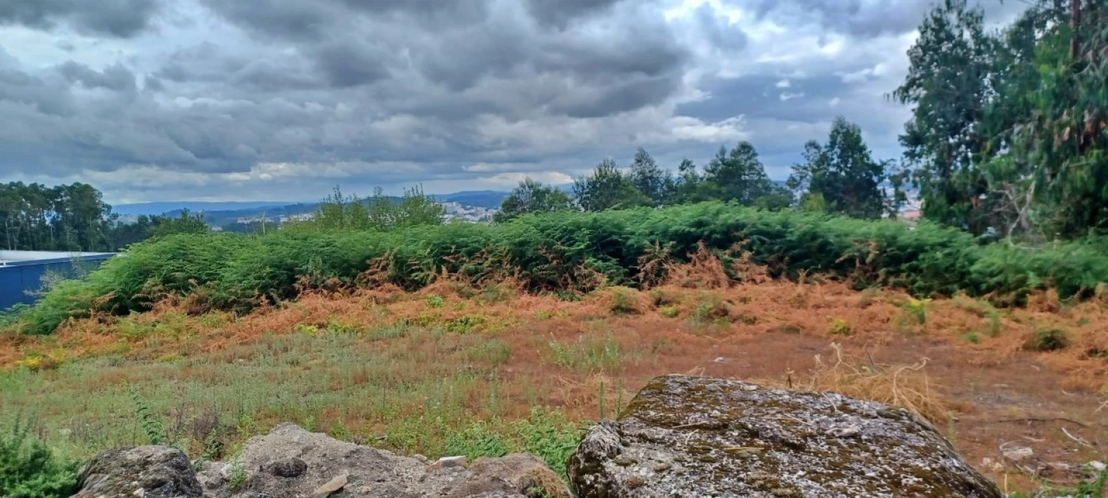 Terreno para Venda em Meixomil Foto 3