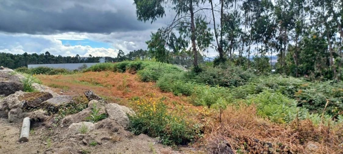 Terreno para Venda em Meixomil Foto 4