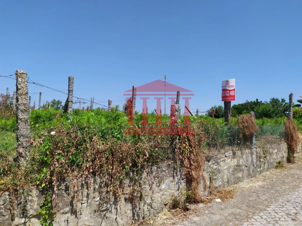 Terreno para Venda em Silveiros e Rio Covo (Santa Eulália) Foto 1