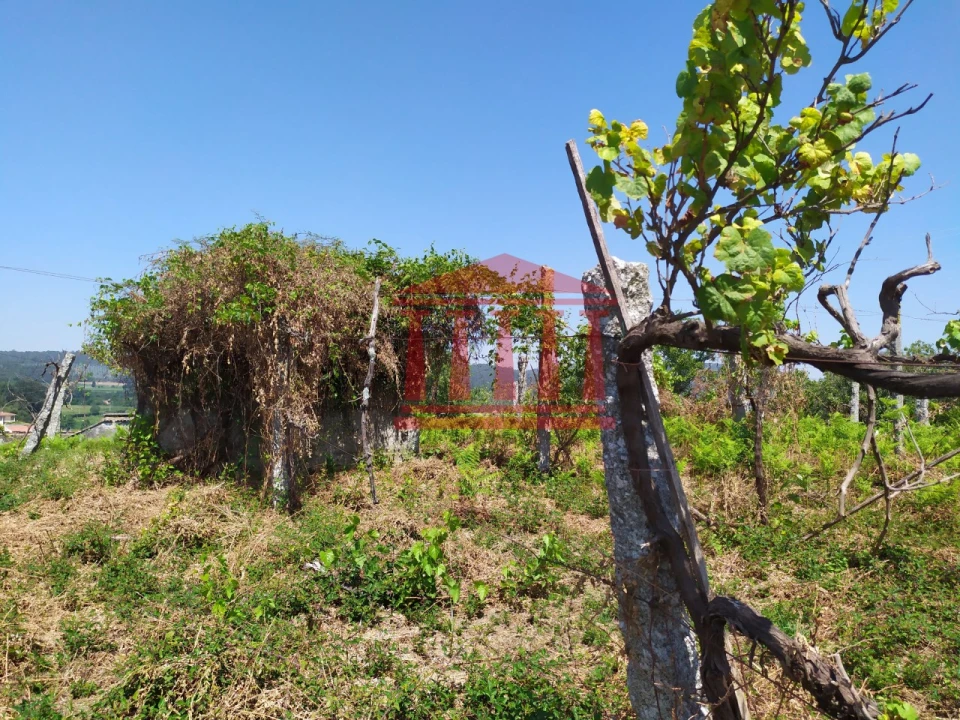 Terreno para Venda em Silveiros e Rio Covo (Santa Eulália) Foto 8