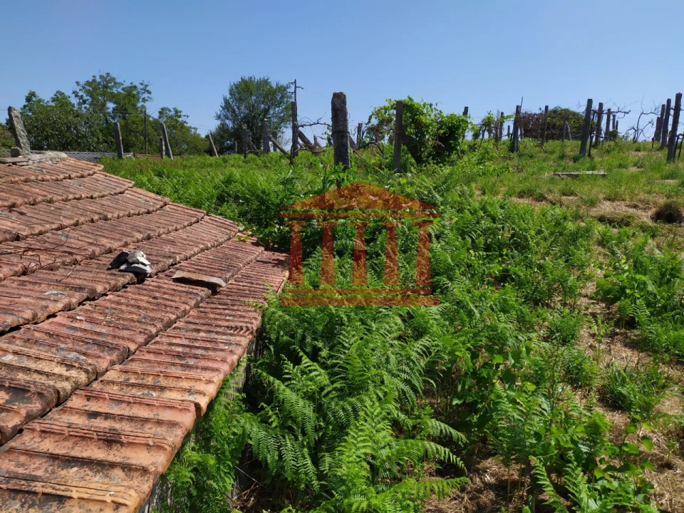 Terreno para Venda em Silveiros e Rio Covo (Santa Eulália) Foto 10
