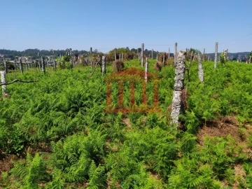 Terreno para Venda em Silveiros e Rio Covo (Santa Eulália)