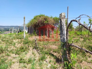 Terreno para Venda em Silveiros e Rio Covo (Santa Eulália)