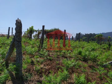 Terreno para Venda em Silveiros e Rio Covo (Santa Eulália)