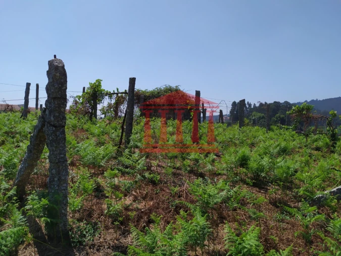 Terreno para Venda em Silveiros e Rio Covo (Santa Eulália) Foto 9