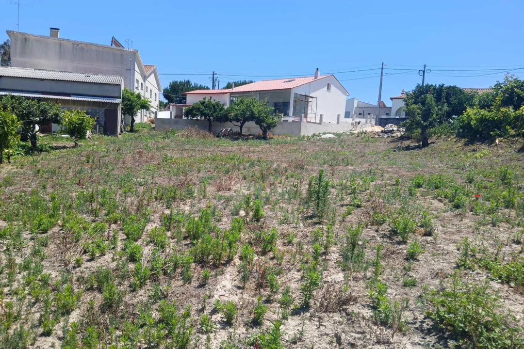 Terreno para Venda em Leiria, Pousos, Barreira e Cortes Foto 1