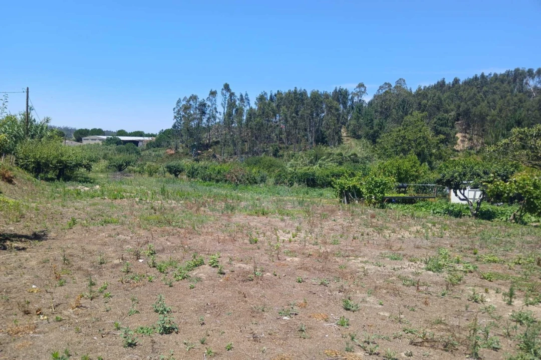 Terreno para Venda em Leiria, Pousos, Barreira e Cortes Foto 7