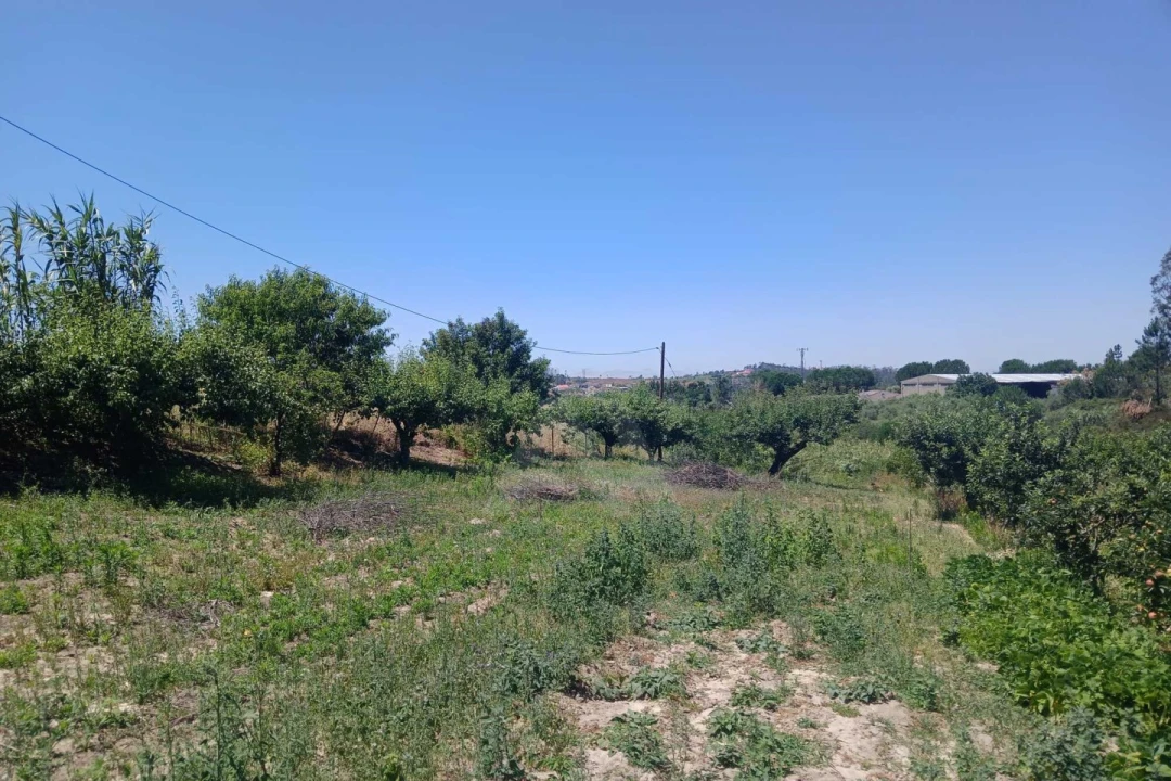 Terreno para Venda em Leiria, Pousos, Barreira e Cortes Foto 8