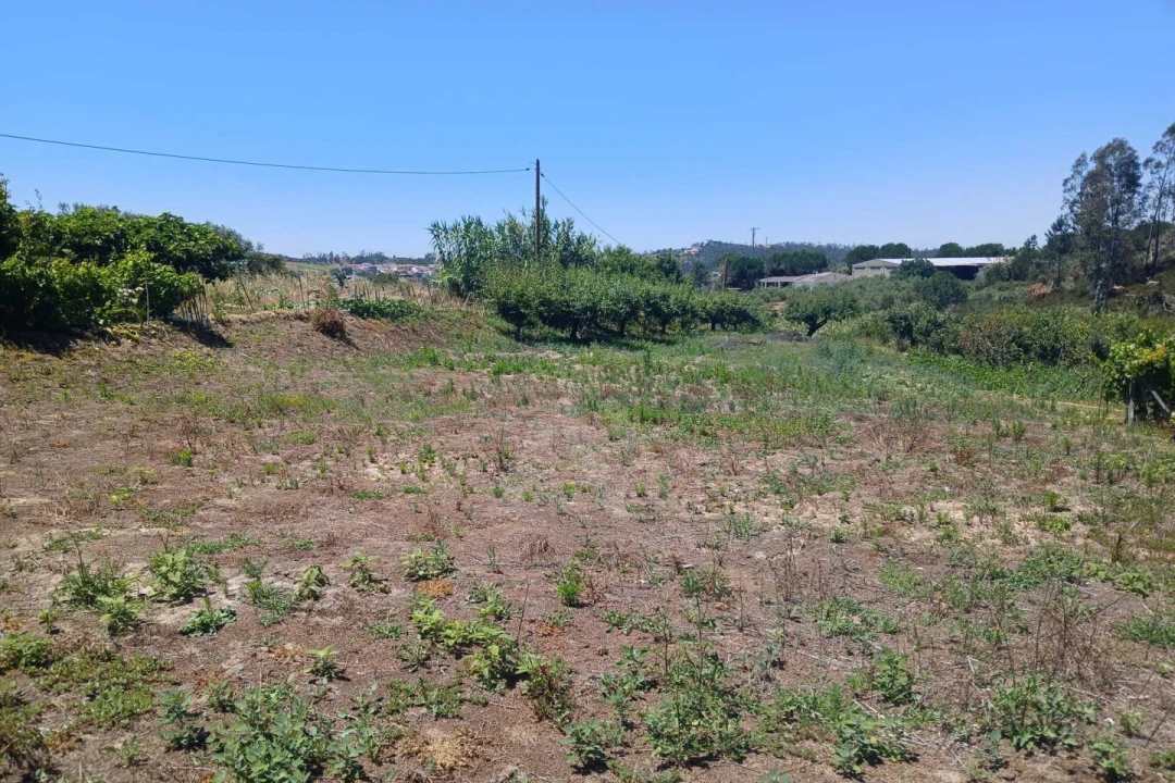 Terreno para Venda em Leiria, Pousos, Barreira e Cortes Foto 10