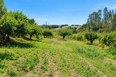 Terreno para Venda em Leiria, Pousos, Barreira e Cortes